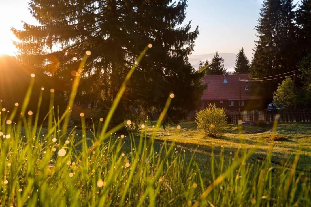 Piricske Pihenohaz Villa Ciceu Eksteriør billede